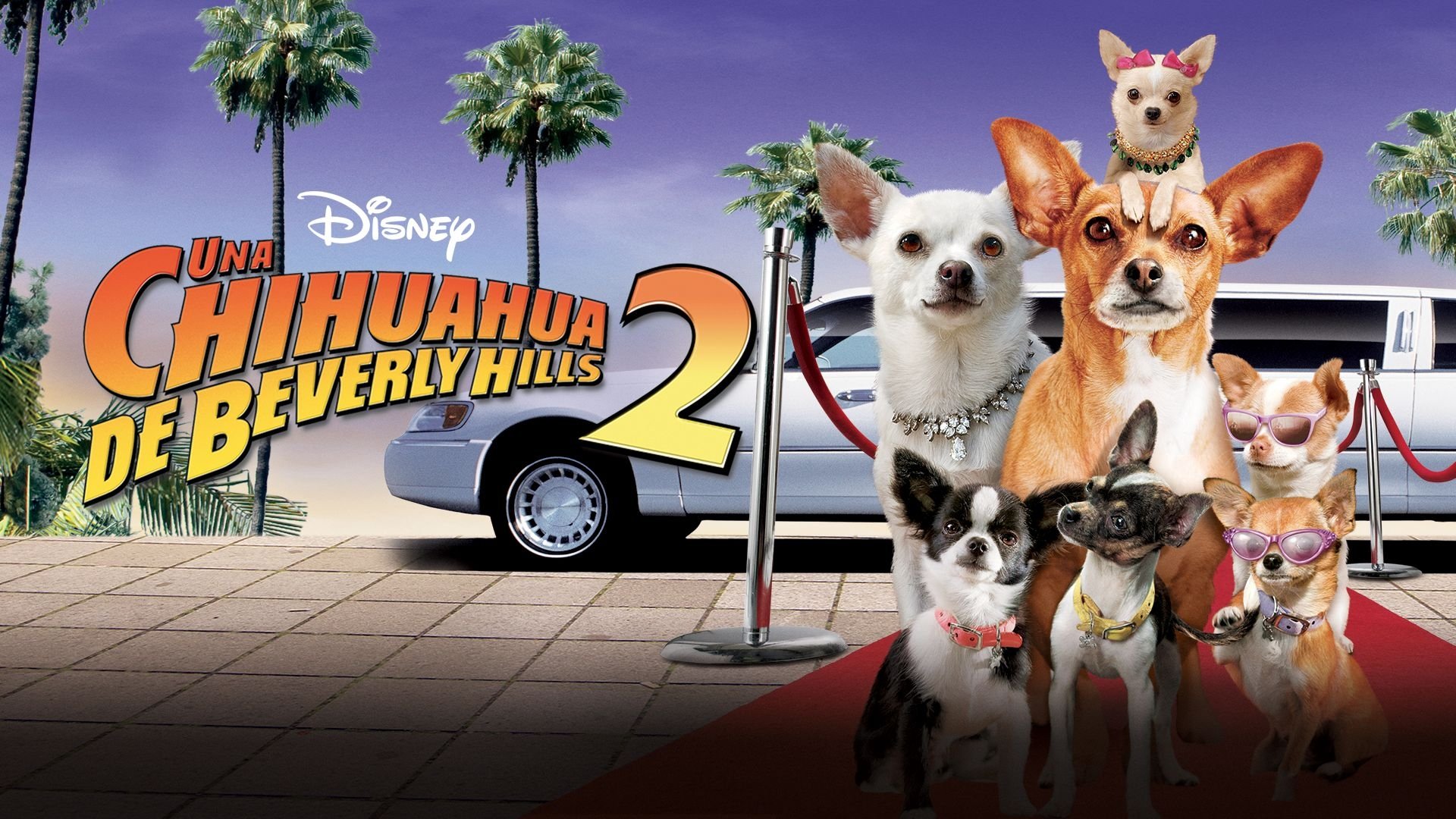 Beverly Hills Chihuahua 2 (2011)