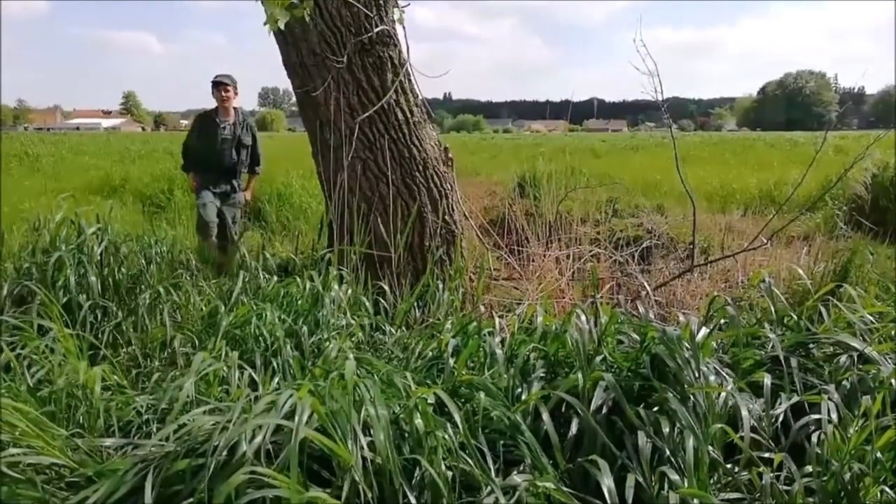 Imagem do Filme De mysterieuze flora en fauna van het Meetjesland
