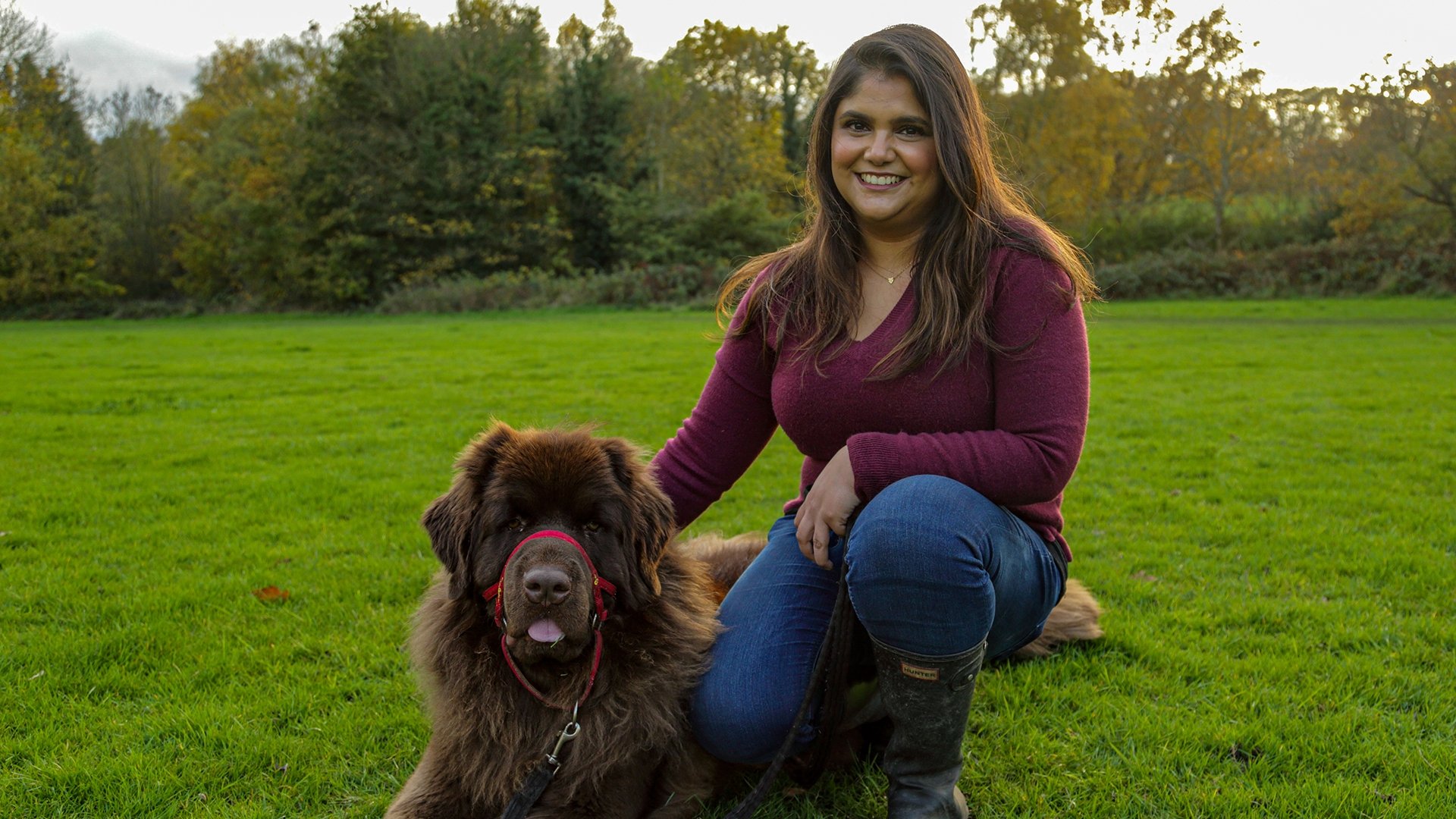 The Supervet: Noel Fitzpatrick