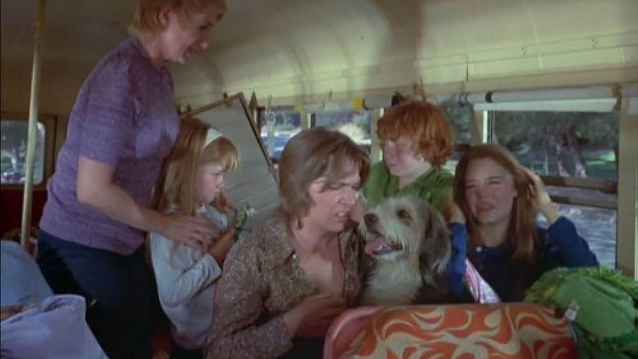 The Partridge Family