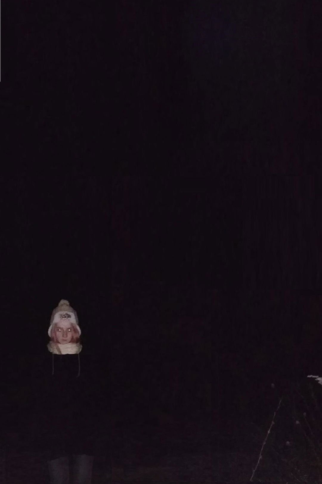 Poster for A Shallow Perception of Me