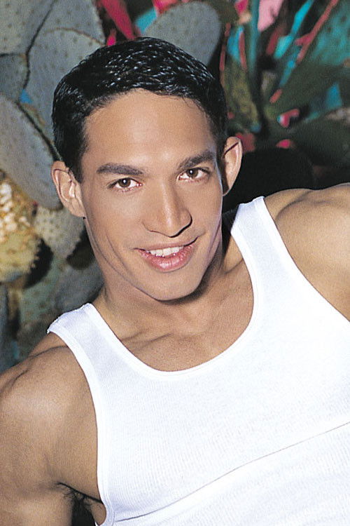 et billede af Brad Davis