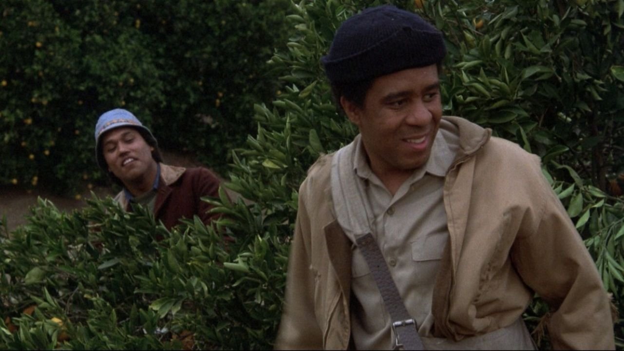 Which Way Is Up? (1977)