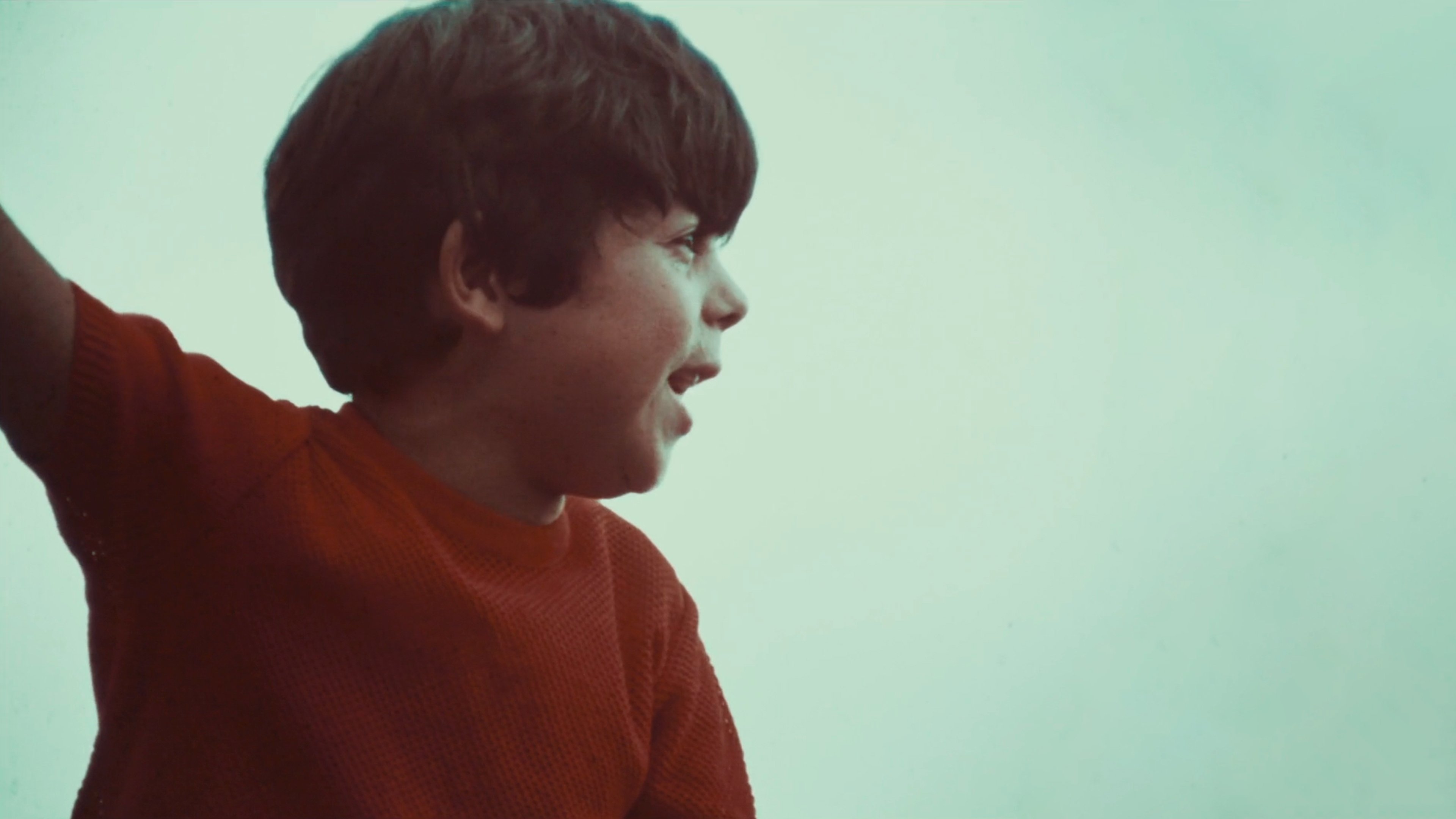 The Green Wall (1970)