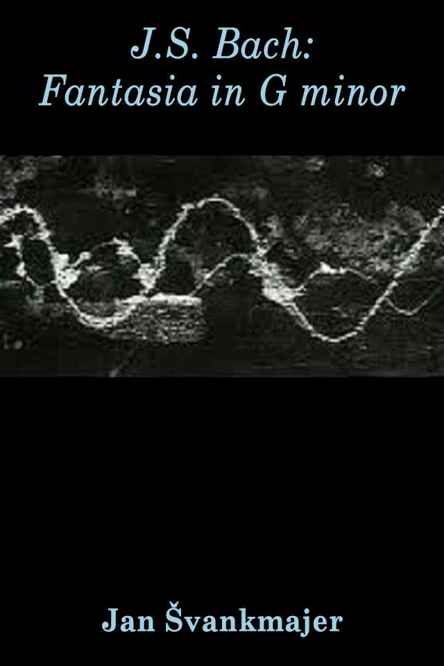 J.S. Bach: Fantasia in G minor