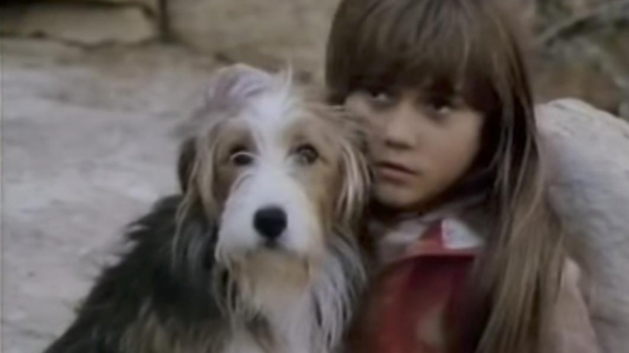 Lost (1983)