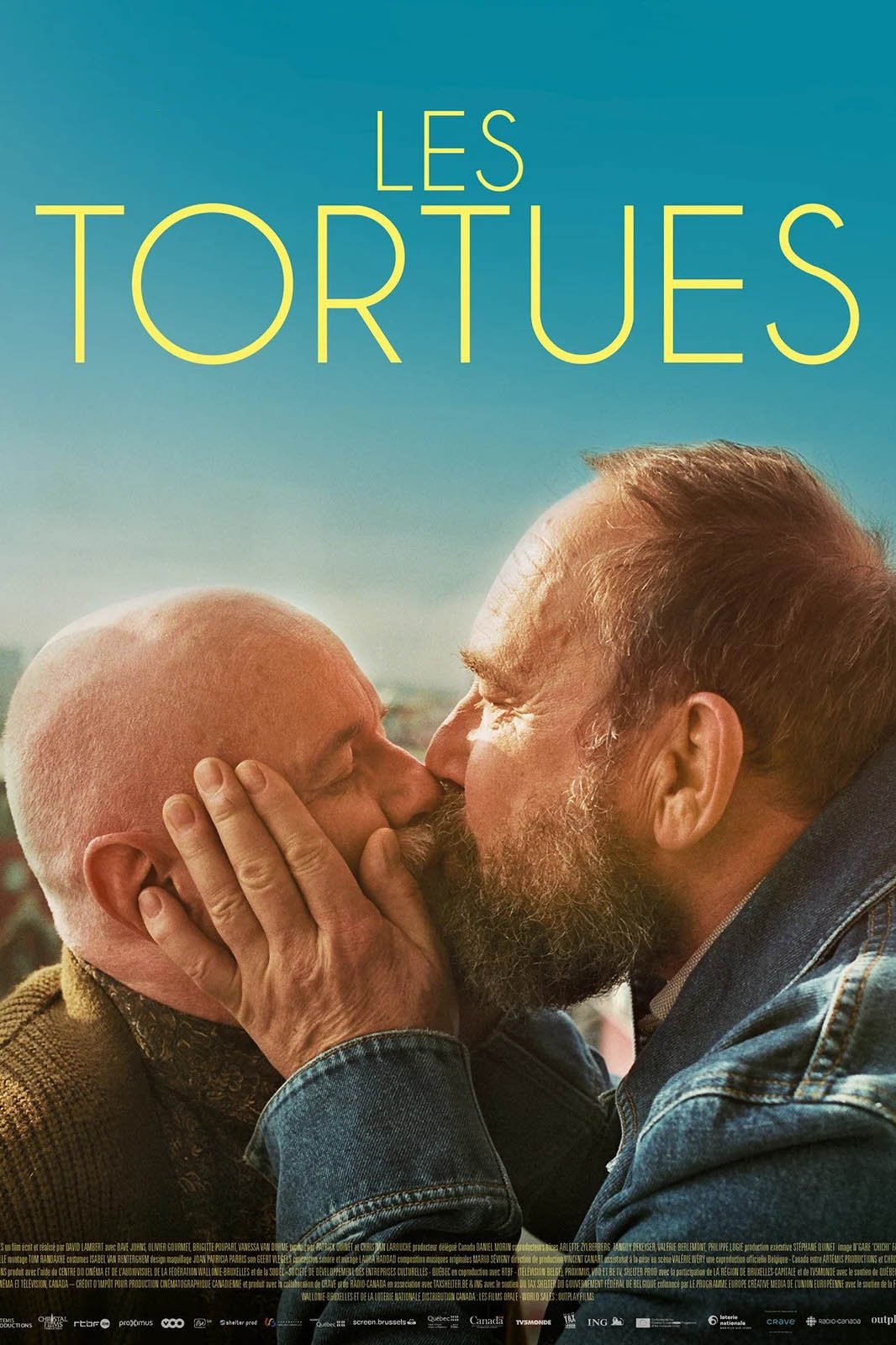 LES TORTUES