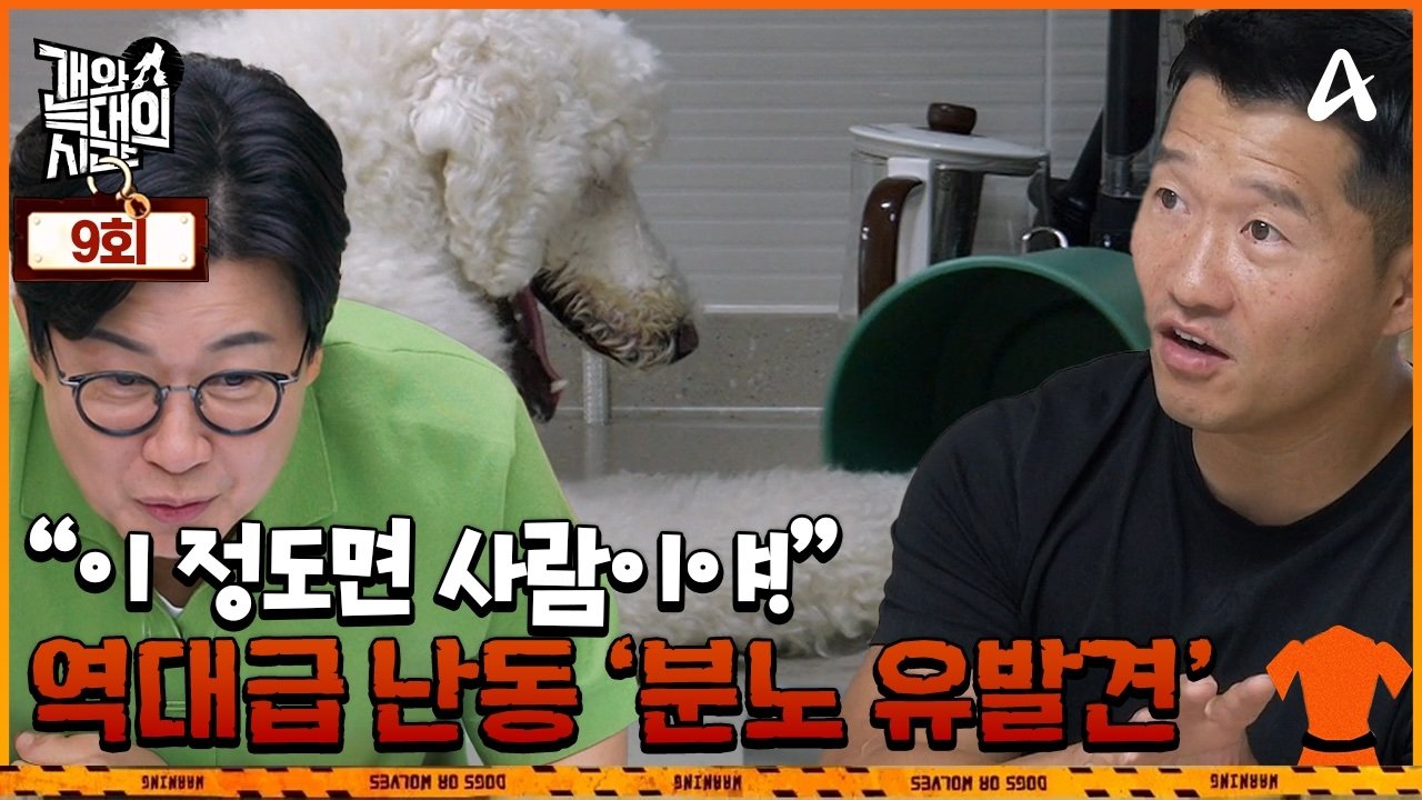 Episode 9