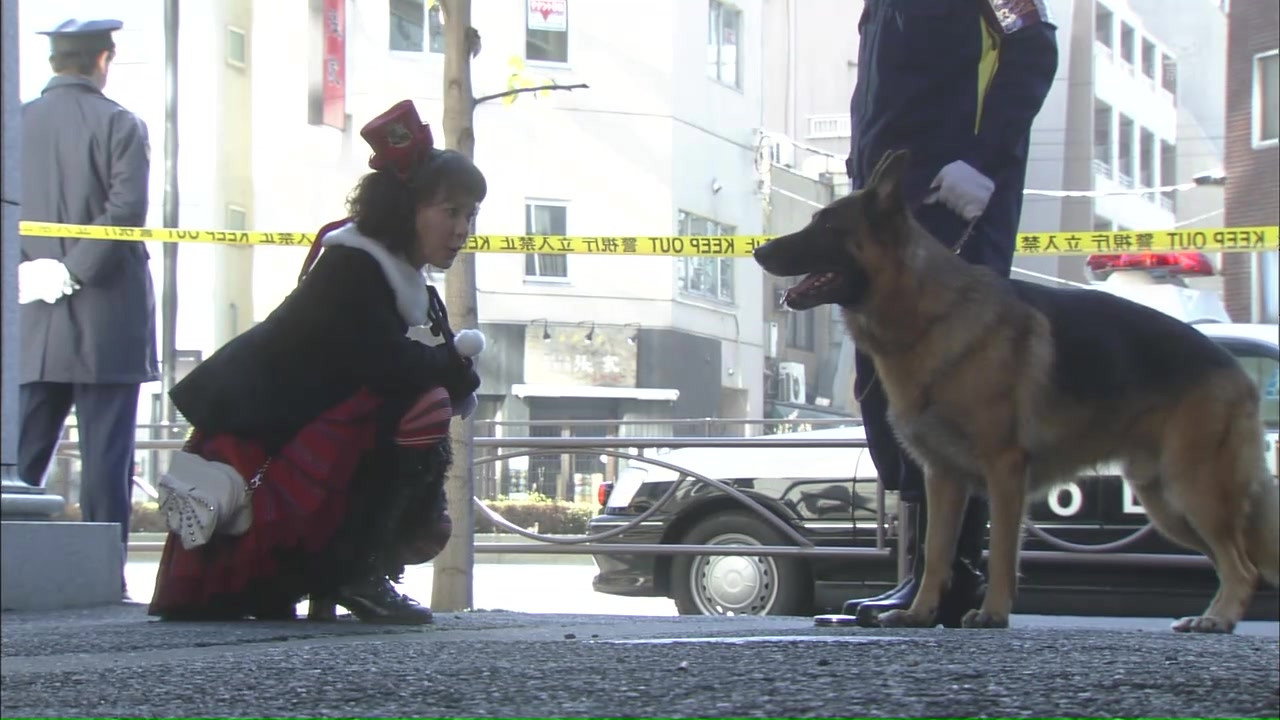 DEKA WANKO -Ms. Detective vs. Police Dog-