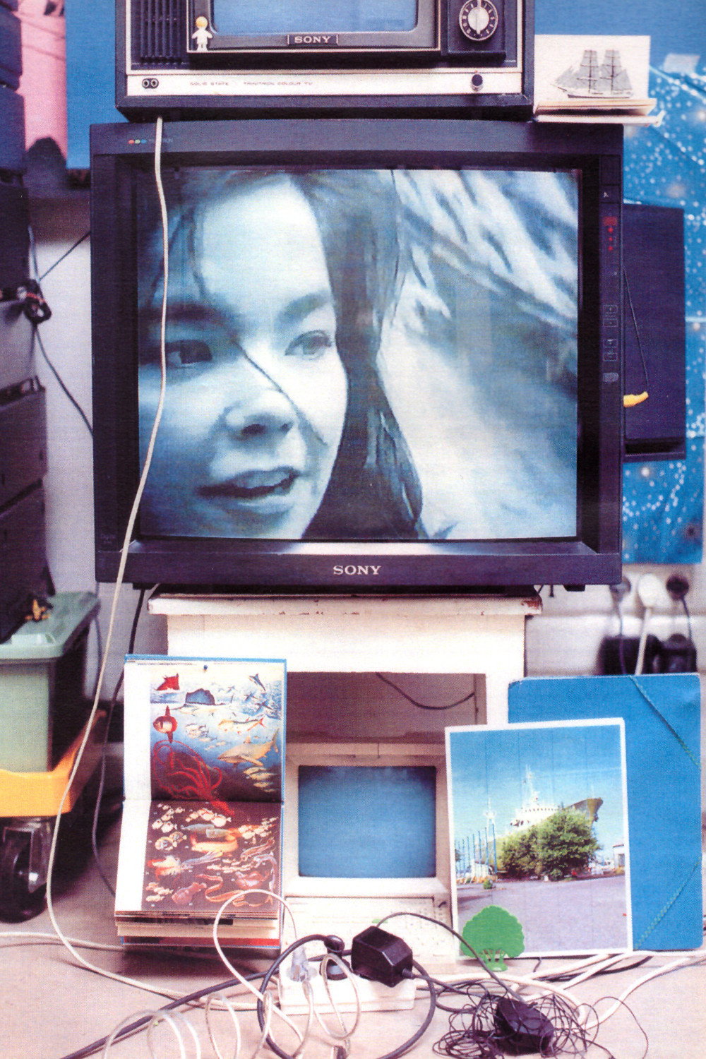 Bj rk Vessel 2003 The Poster Database TPDb Bj rk vessel 2003 the poster database tpdb
