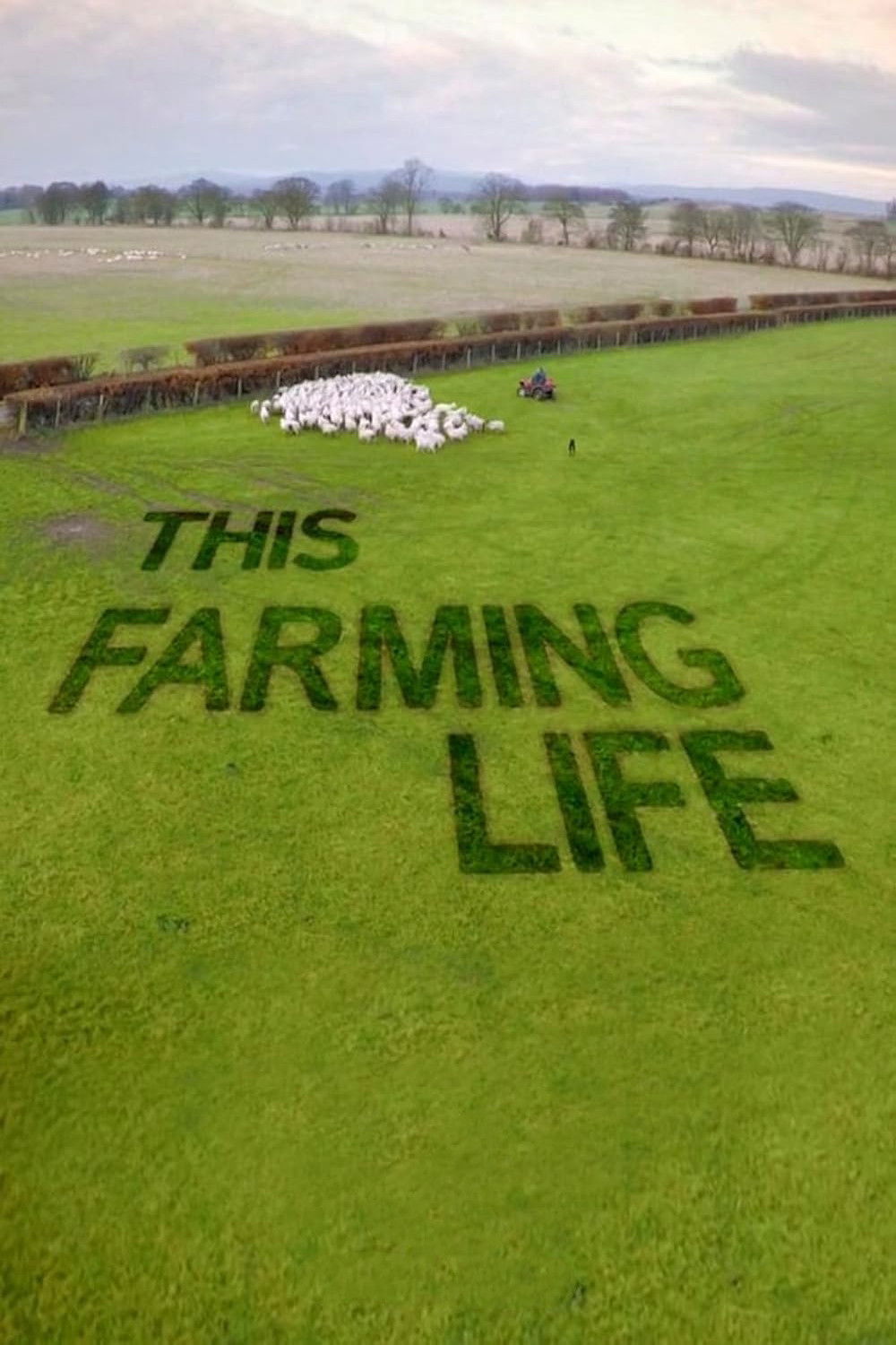 'This Farming Life' (2016)