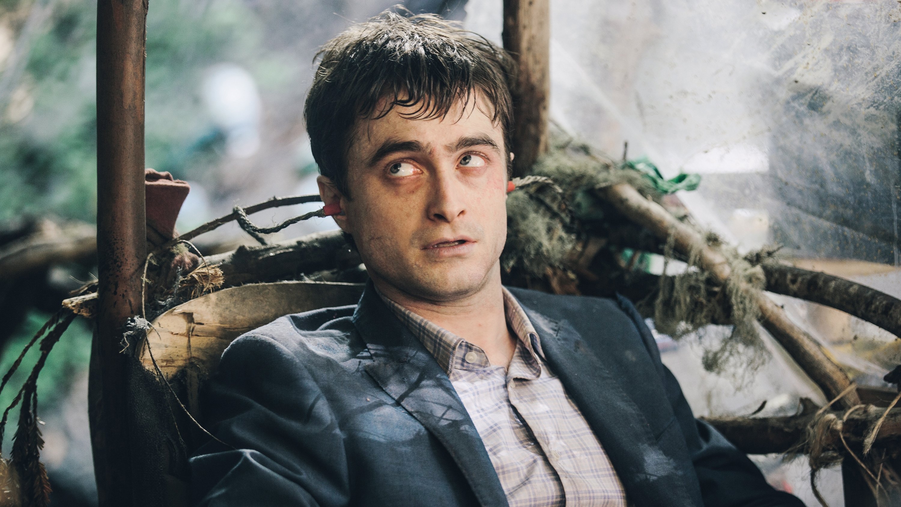 Image du film Swiss Army Man morr5xchzgz559gbeq3n6heo2sjjpg