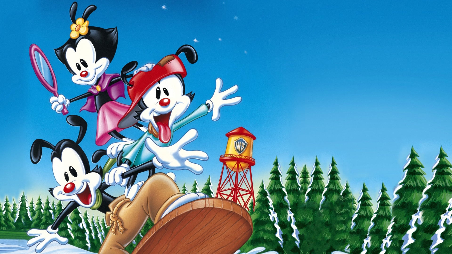 Animaniacs: Wakko's Wish