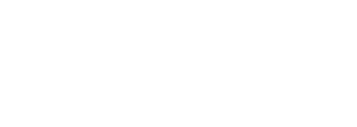 The Lifeguards