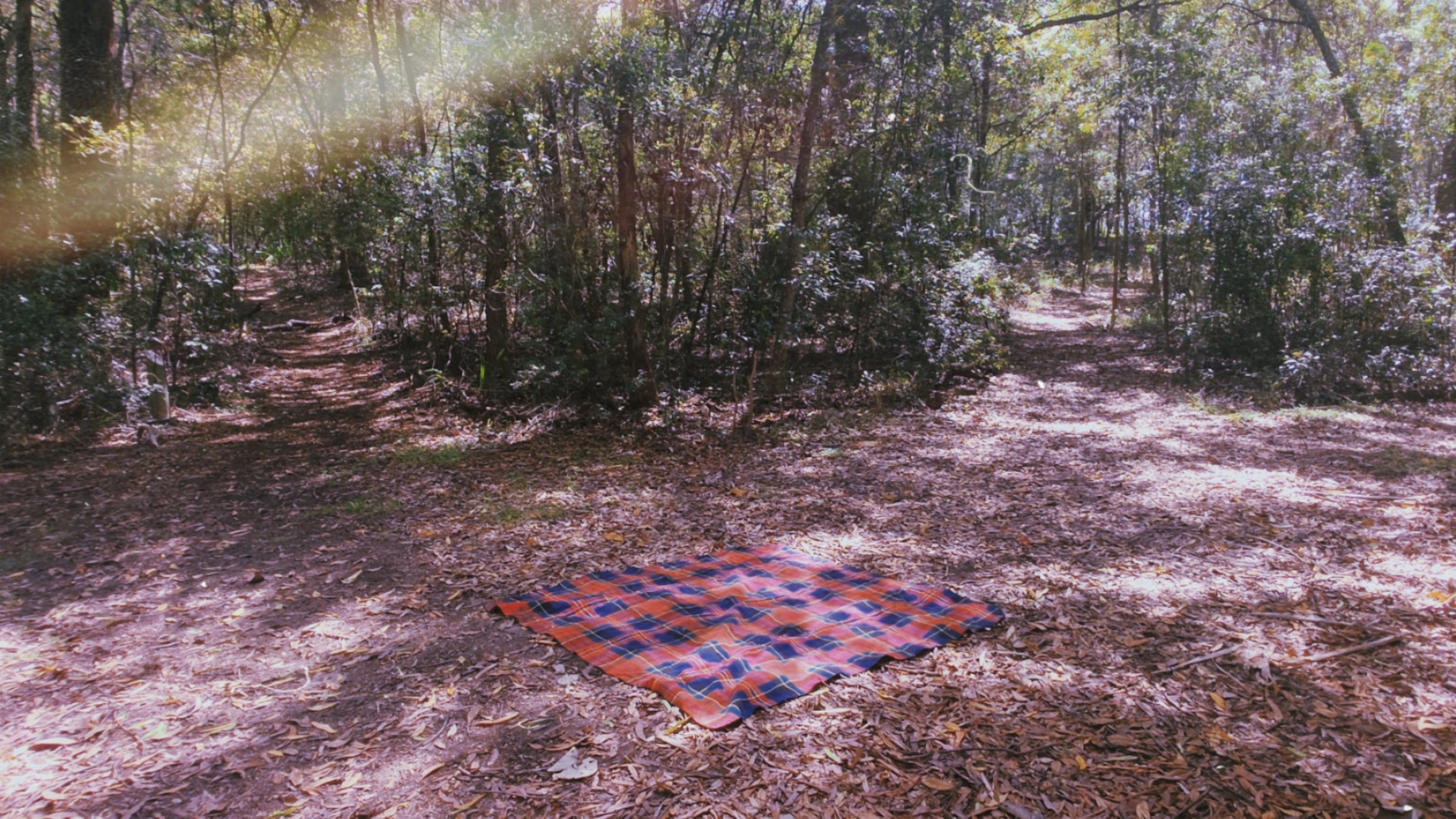 Lost.