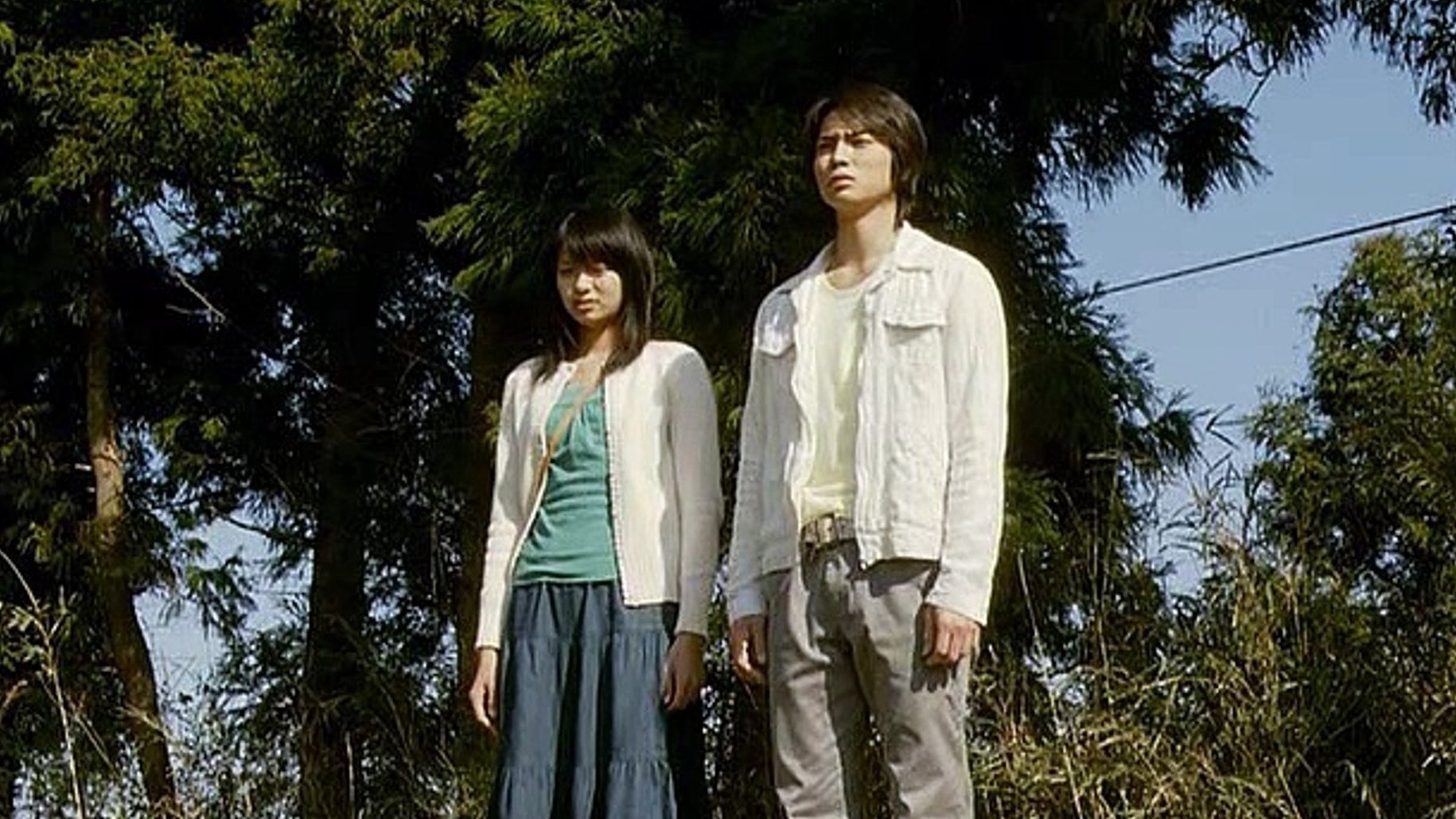 My Sister, My Love (2007)