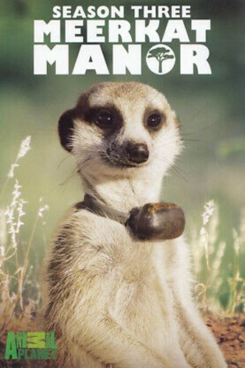 Meerkat Manor - Season 3
