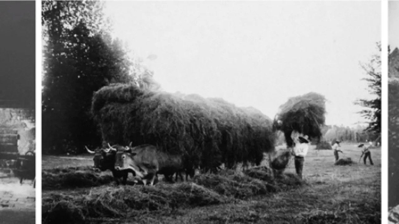 Jenny de Vasson, le miroir inversé