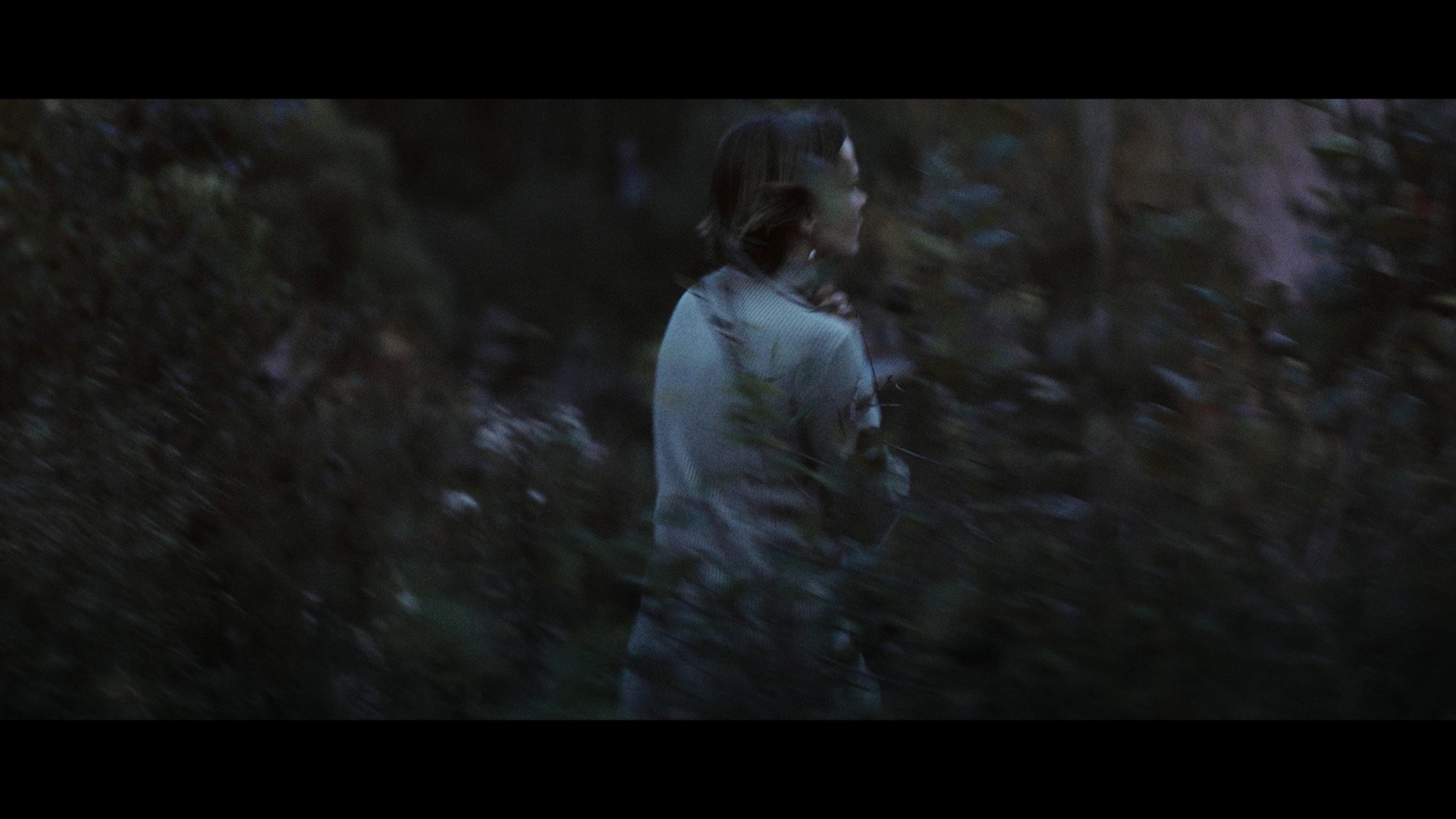 The Sister (2016)
