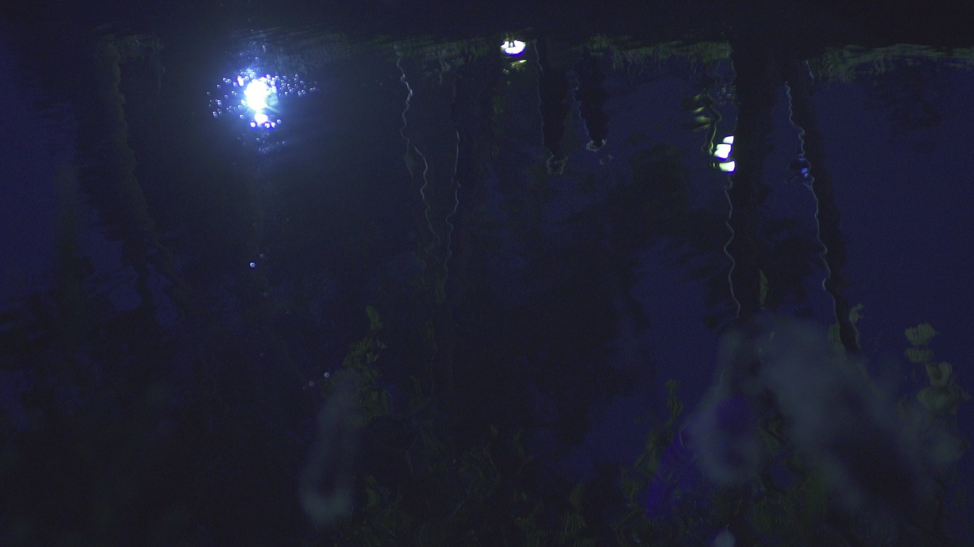Nights (2014)