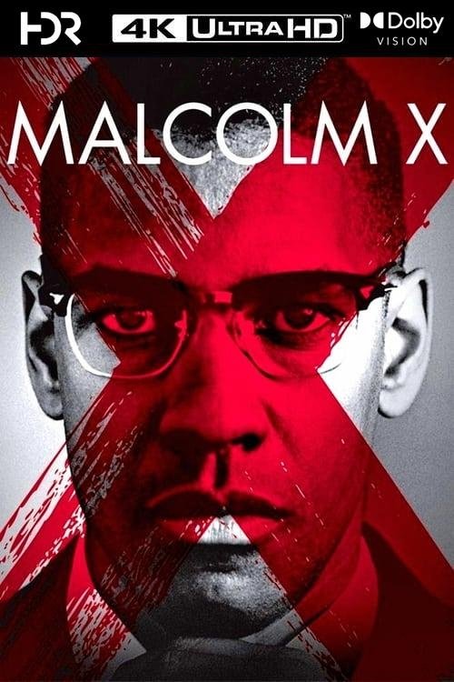 Malcolm X