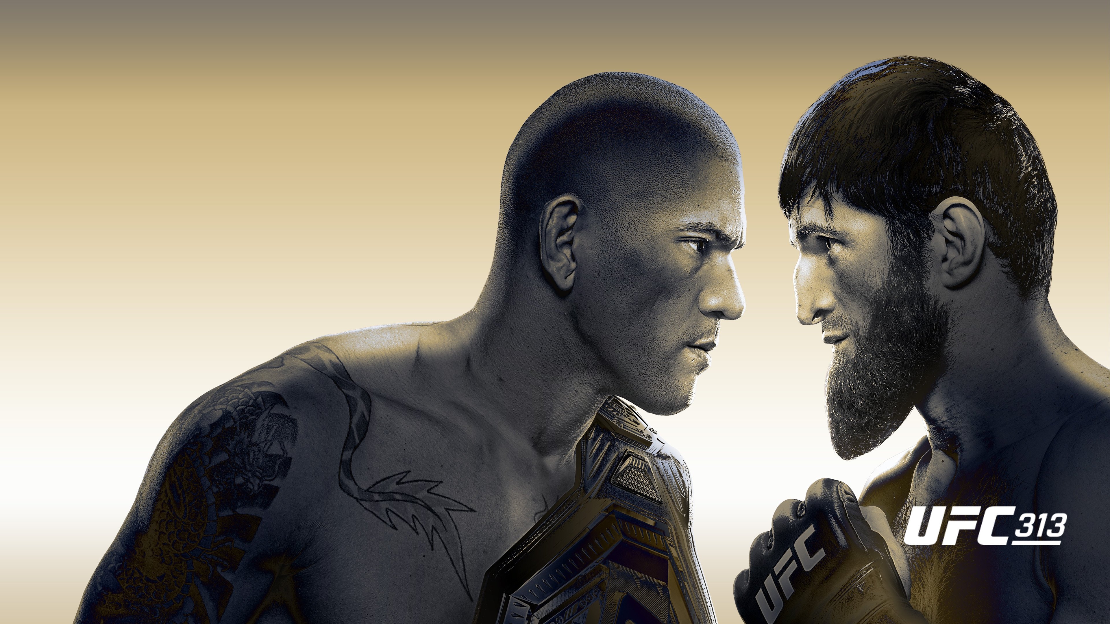 UFC 313: Pereira vs. Ankalaev