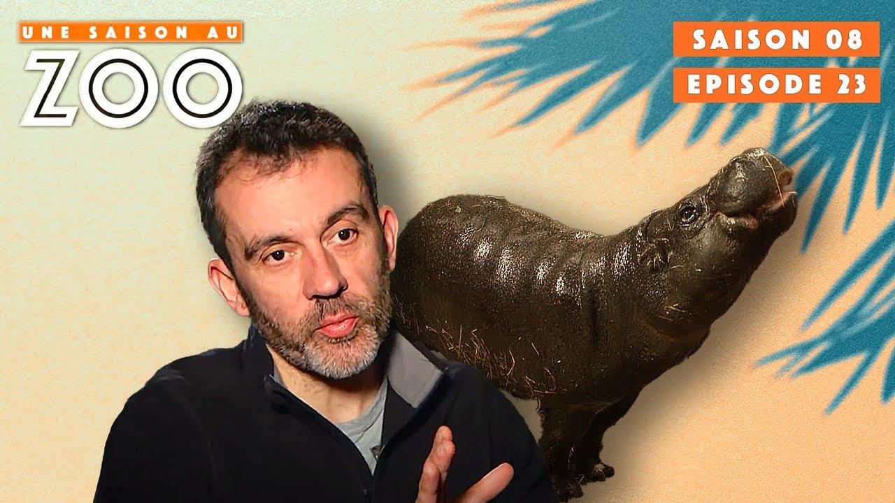 Une saison au zoo