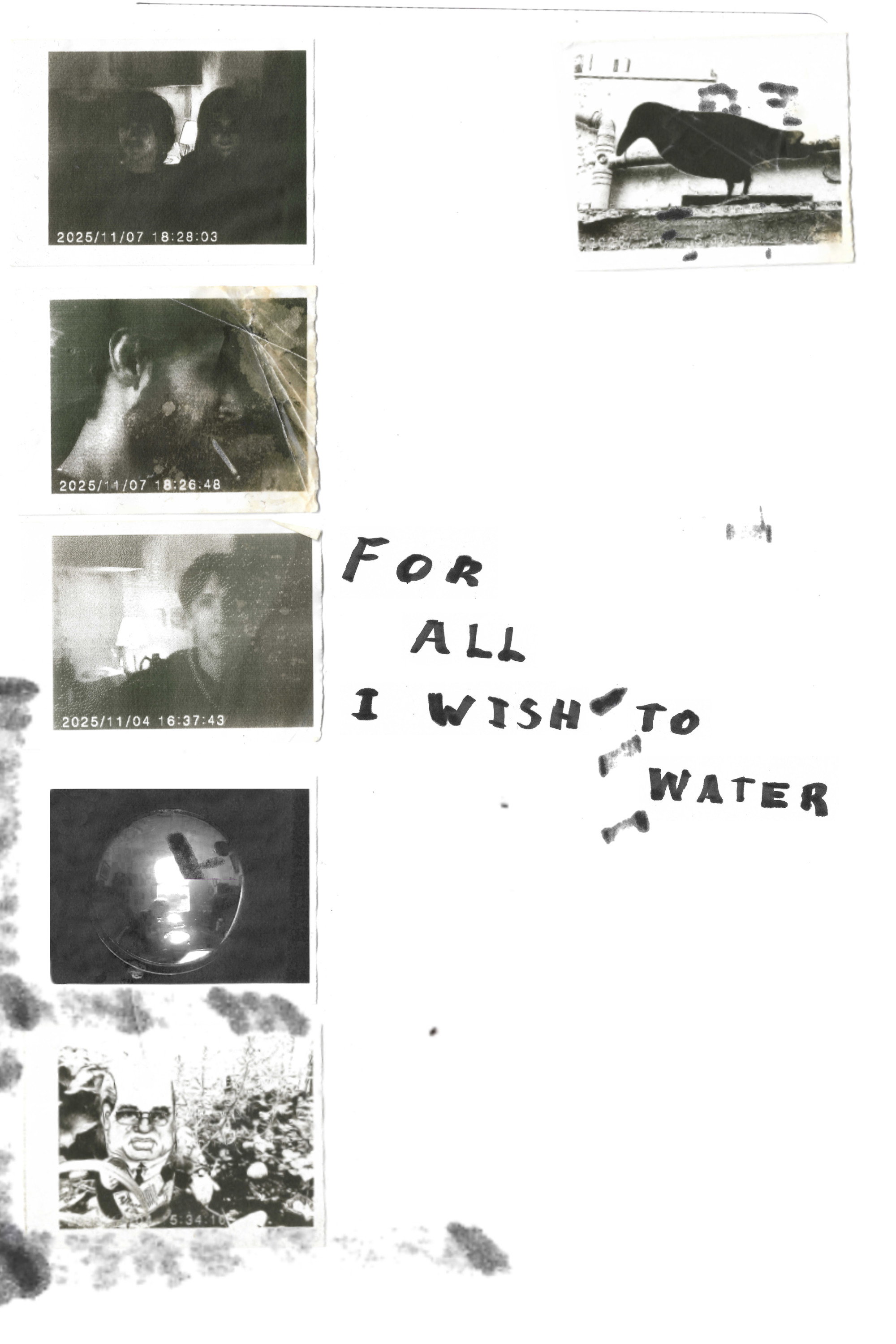 For All I Wish To Water