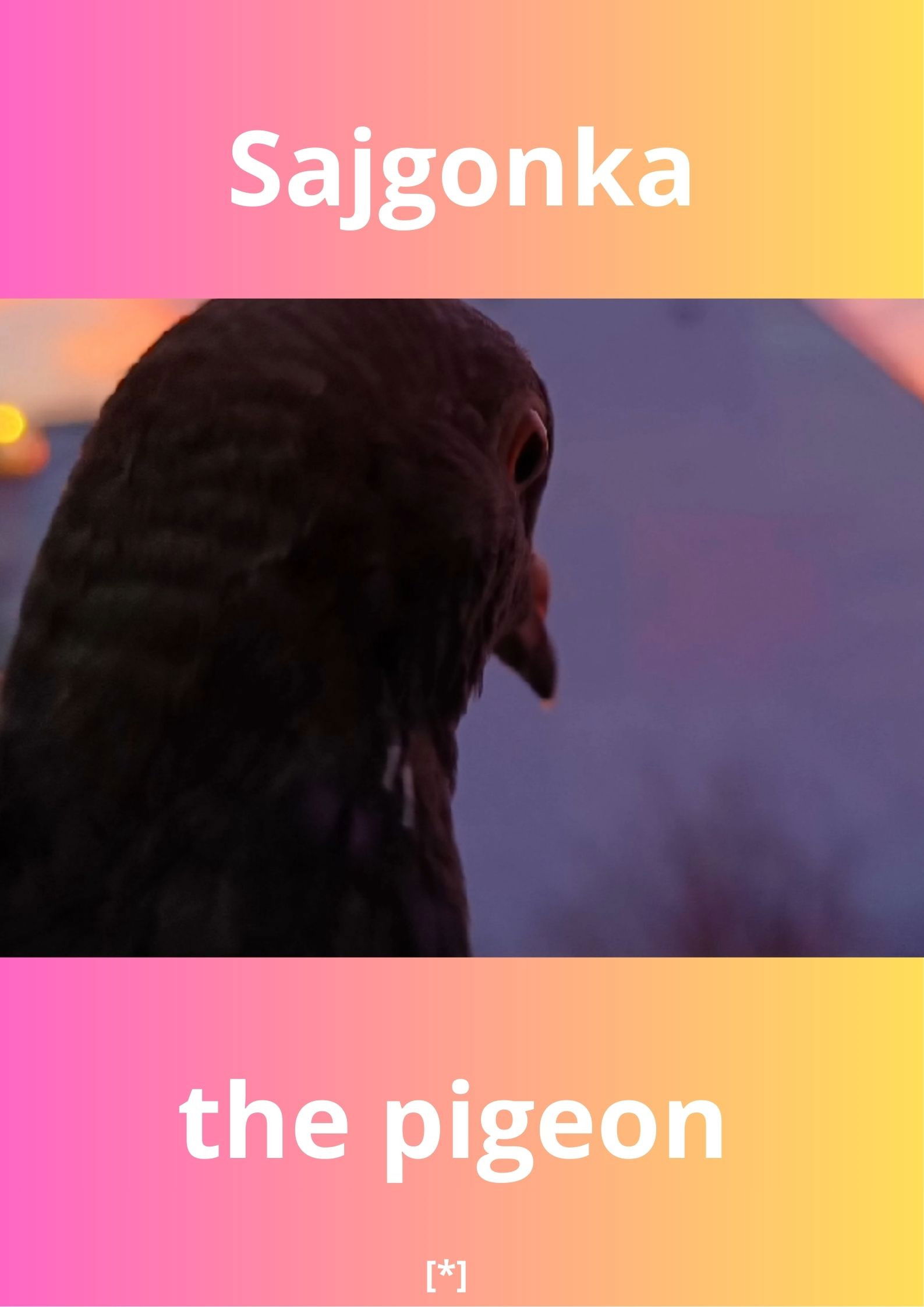 Sajgonka The Pigeon