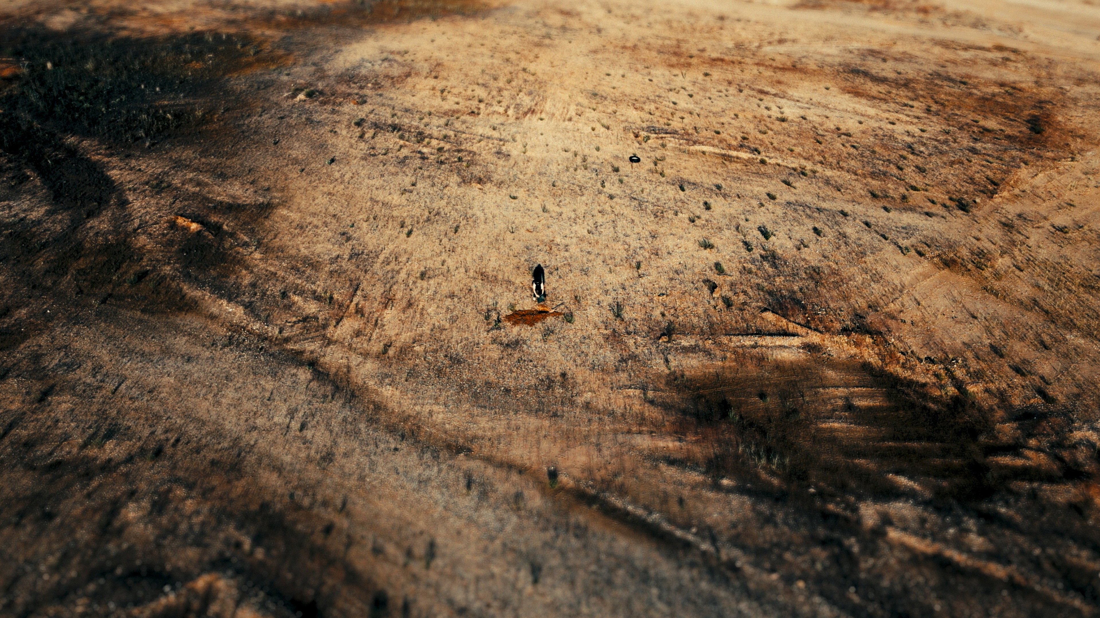 Faster, Hollywood: Die! Die!