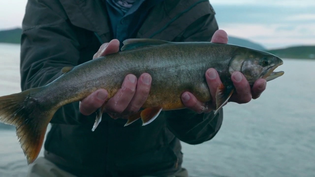 Thumbnail for Icelandic Giants Season 1 Episode 1
