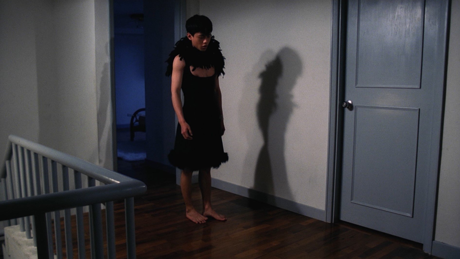 Vive L'Amour (1995)