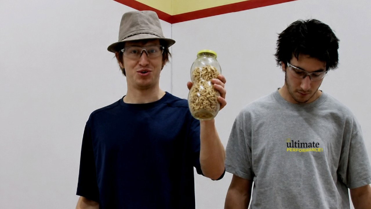 Nirvana the Band the Show the Adventures