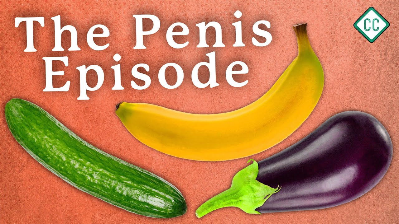 Thumbnail for The Penis Explained Season 1 Episode 3