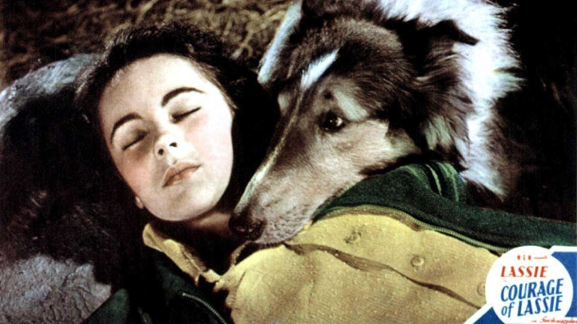 Il coraggio di Lassie (1946)