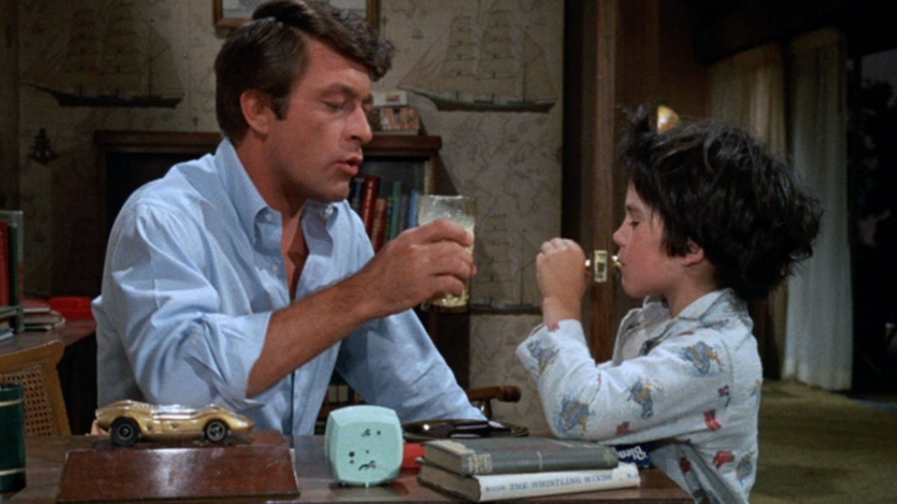 The Courtship of Eddie's Father