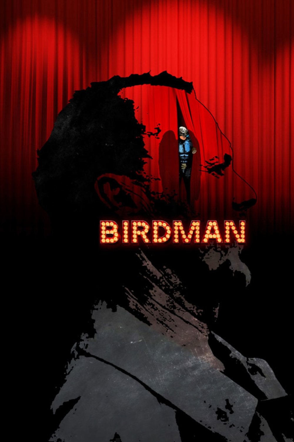 Birdman or (The Unexpected Virtue of Ignorance)