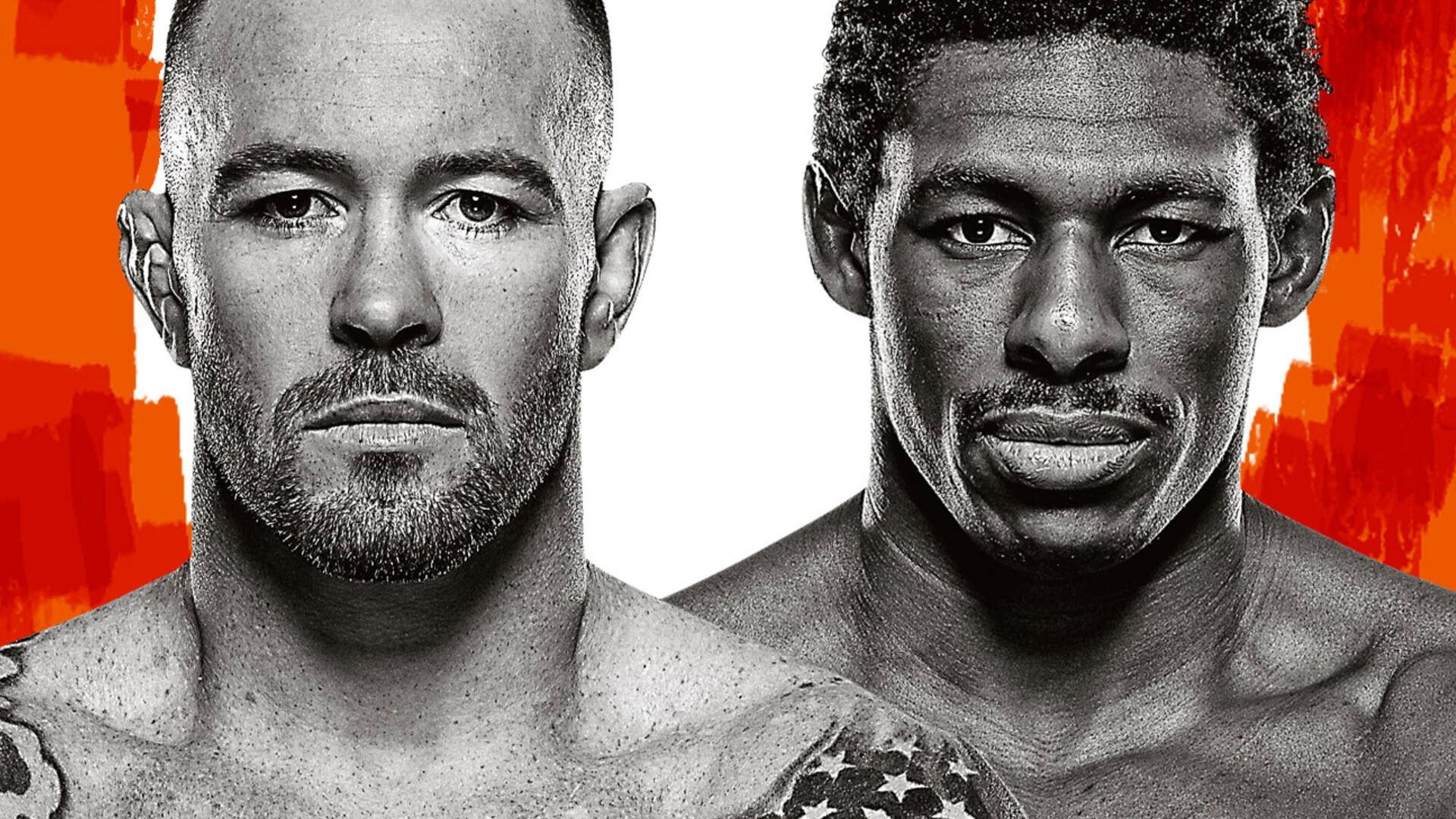 UFC Fight Night: Covington vs. Buckley (2024)