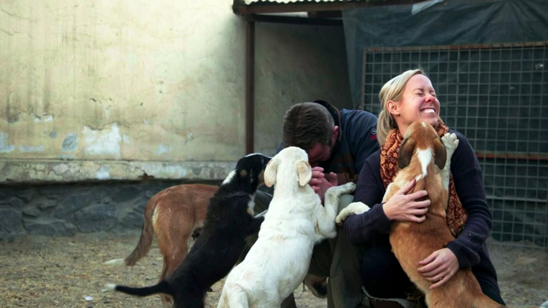 Thumbnail for Pen and the Dogs of War Season 1 Episode 3