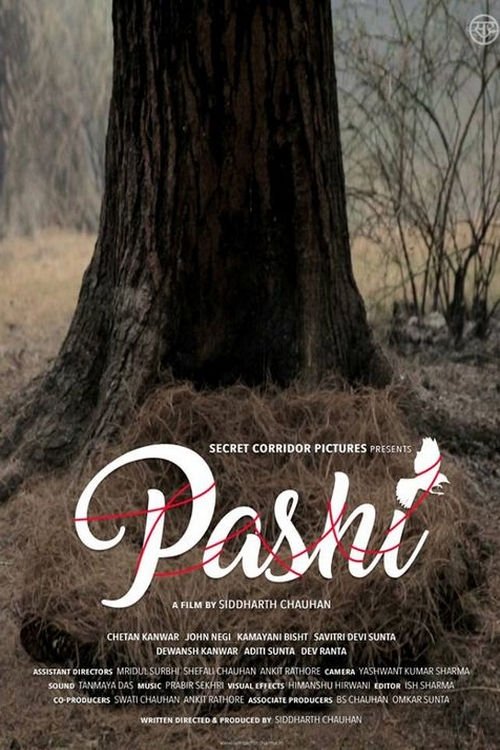 Pashi