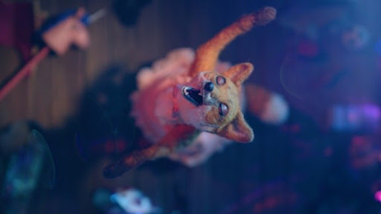 Dragfox (2024)