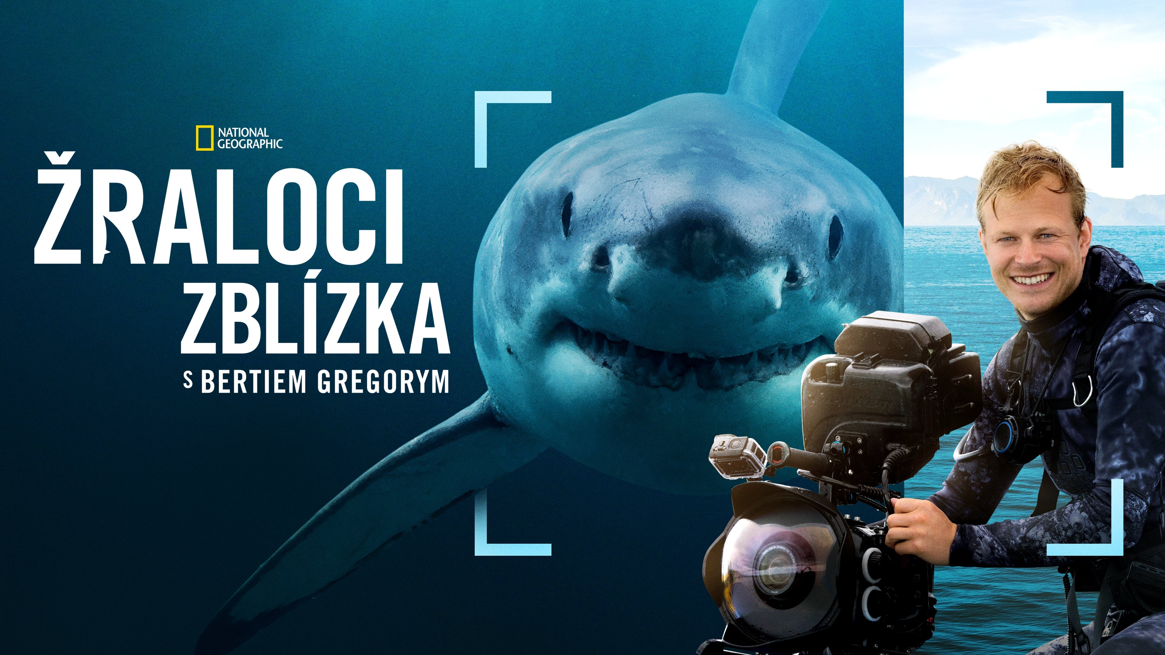 Sharks Up Close with Bertie Gregory backdrop