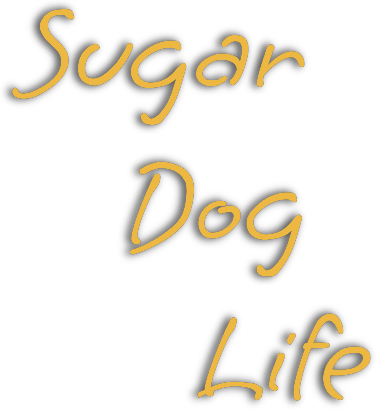 Sugar Dog Life