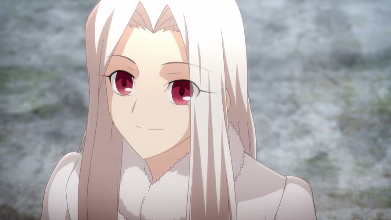 Fate/Zero