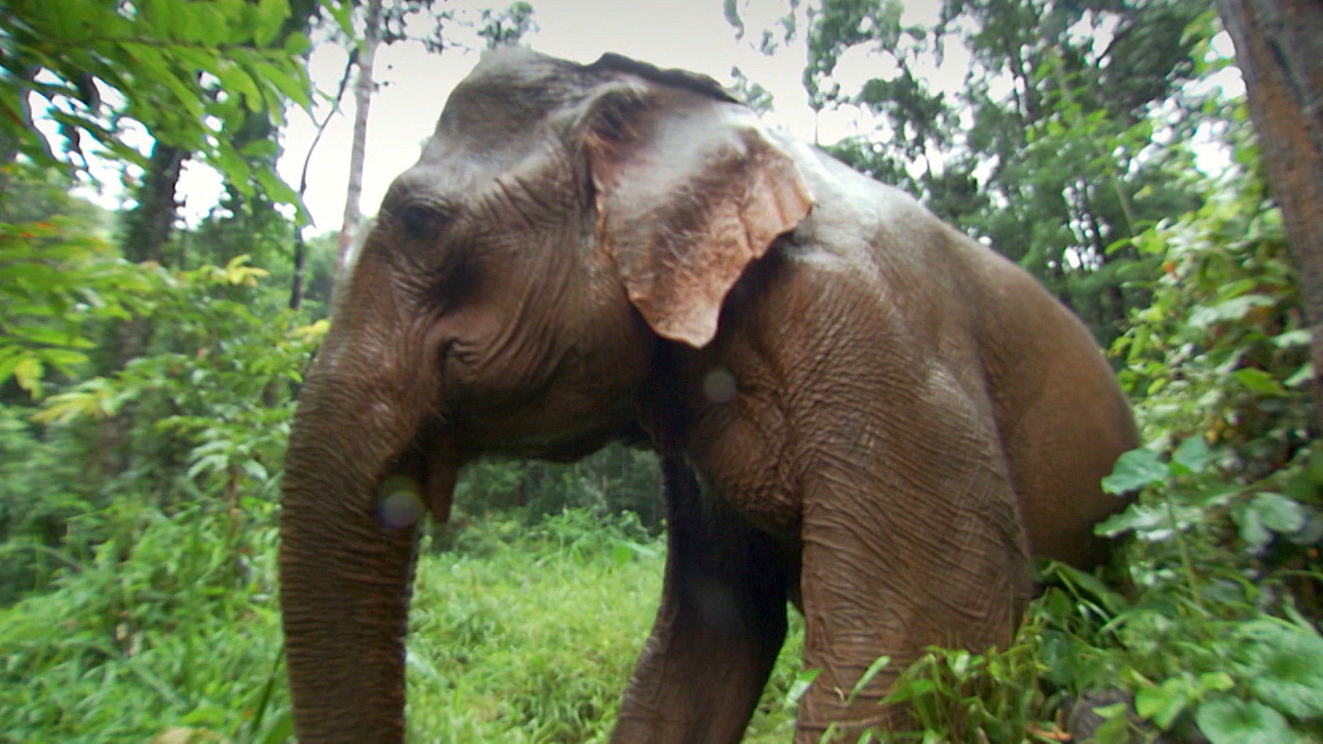 Earth Odyssey with Dylan Dreyer S02E36 backdrop