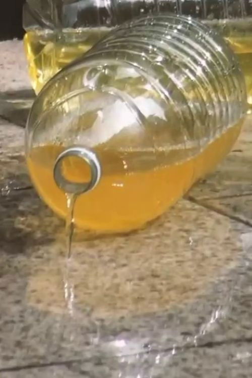 Pissed Off Trannies: Zap 2