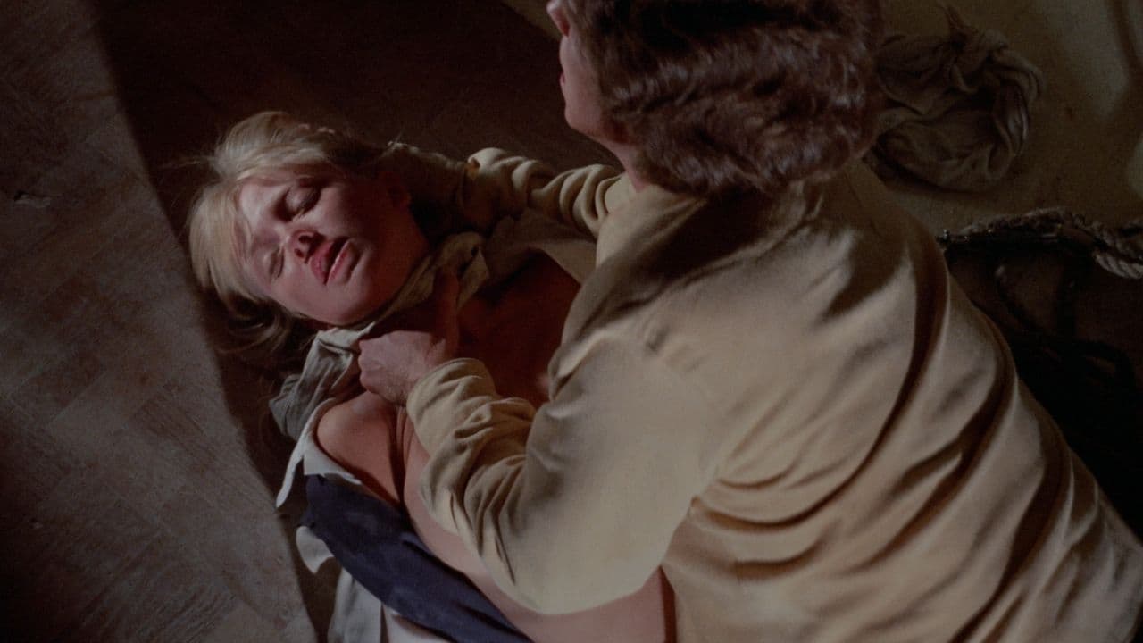 蜜糖绑架者 (1973)