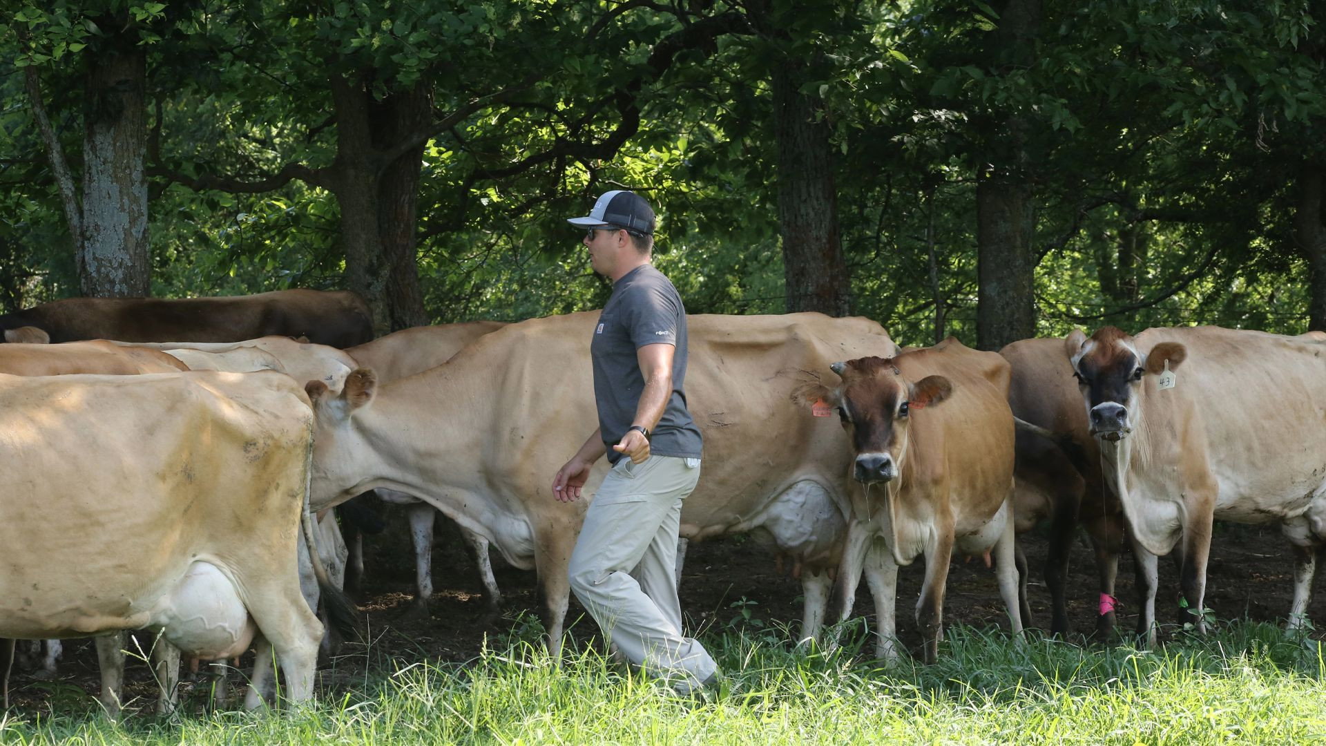 The Hatcher Family Dairy S1E1 backdrop