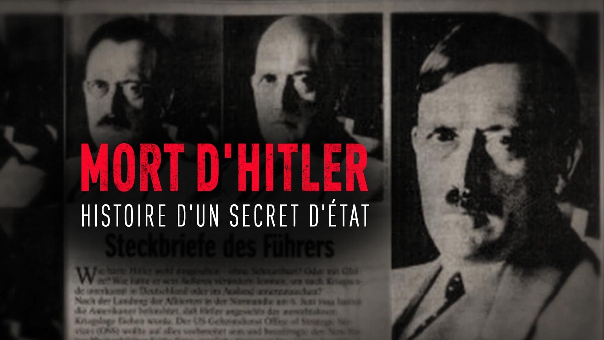 The Death of Hitler: The Story of a State Secret (2017)