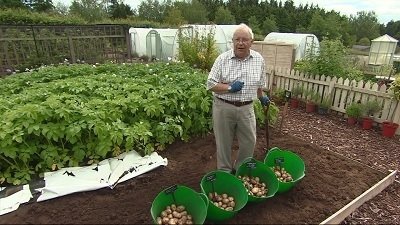 The Beechgrove Garden - Épisode 14